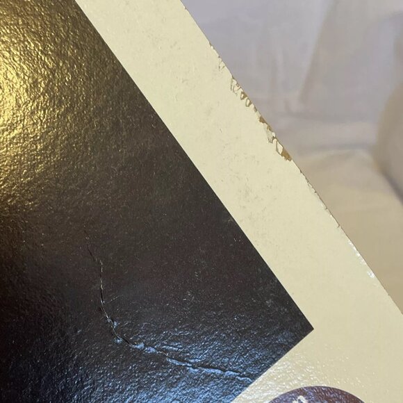 Piano Concerto In A Minor Peer Gynt Suite No. 1 (Vinyl, 1976) RCA Custom FW-307 - Picture 5 of 9